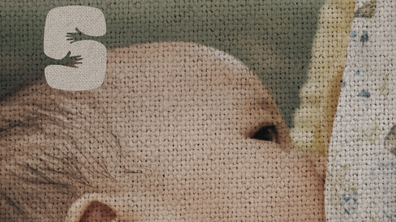The Breastfeeding Guide: everything in one place
