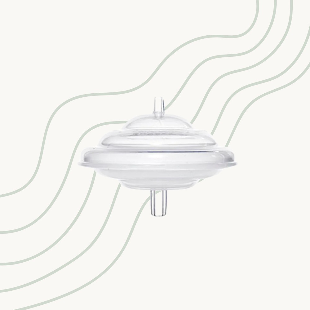 Spectra Backflow Protector