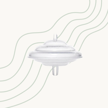 Spectra Backflow Protector