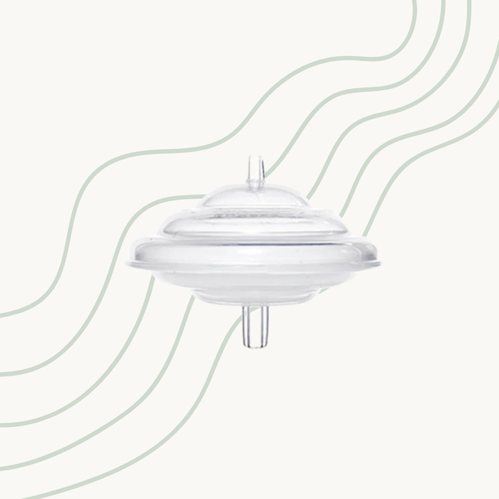 Spectra Backflow Protector