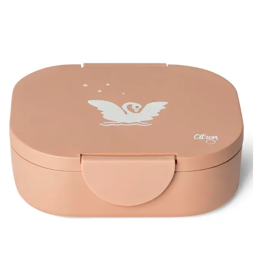 Citron Bio Based Lunch Box  صندوق غداء مصنوع من مادة السترون الحيوية