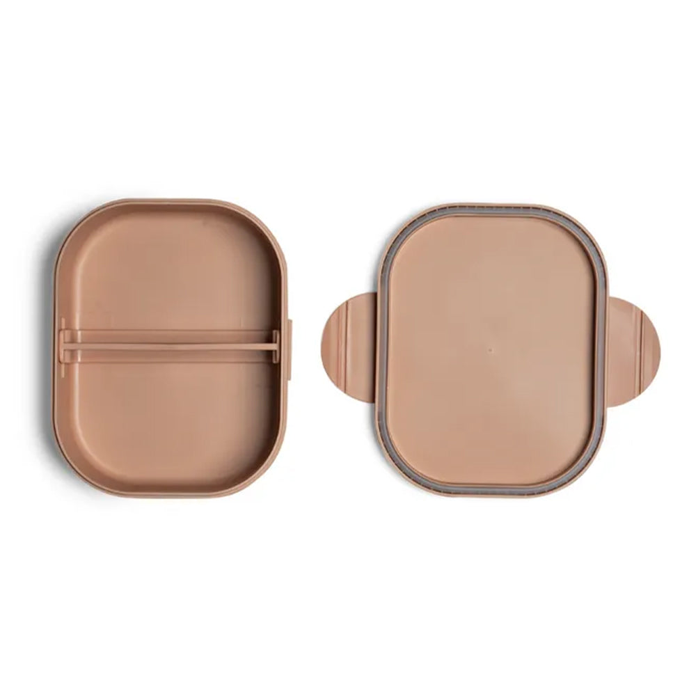 Citron Bio Based Lunch Box  صندوق غداء مصنوع من مادة السترون الحيوية