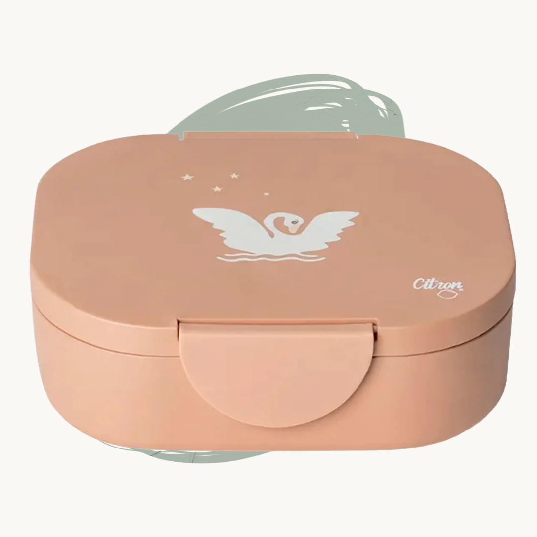 Citron Bio-Based Lunch Box