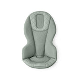 ErgoBaby Evolve Bouncer