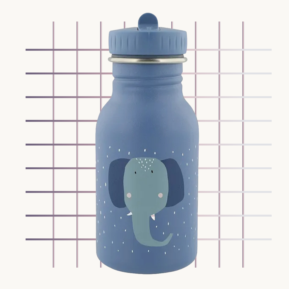 Trixie Insulated Water Bottle 350ml | زجاجة ماء معزولة تريكسي ٣٥٠ مل