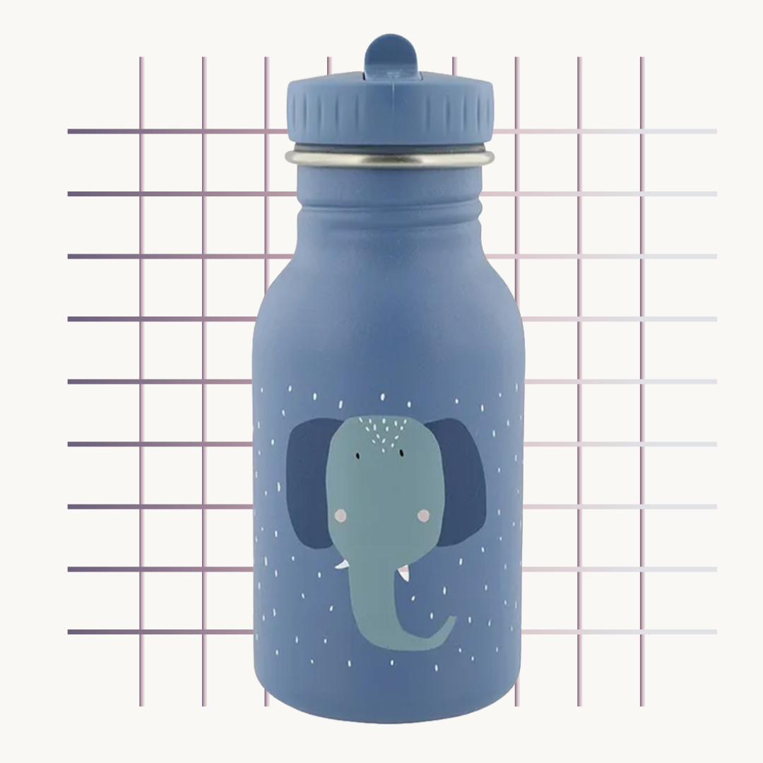 Trixie Insulated Water Bottle 350ml | زجاجة ماء معزولة تريكسي ٣٥٠ مل