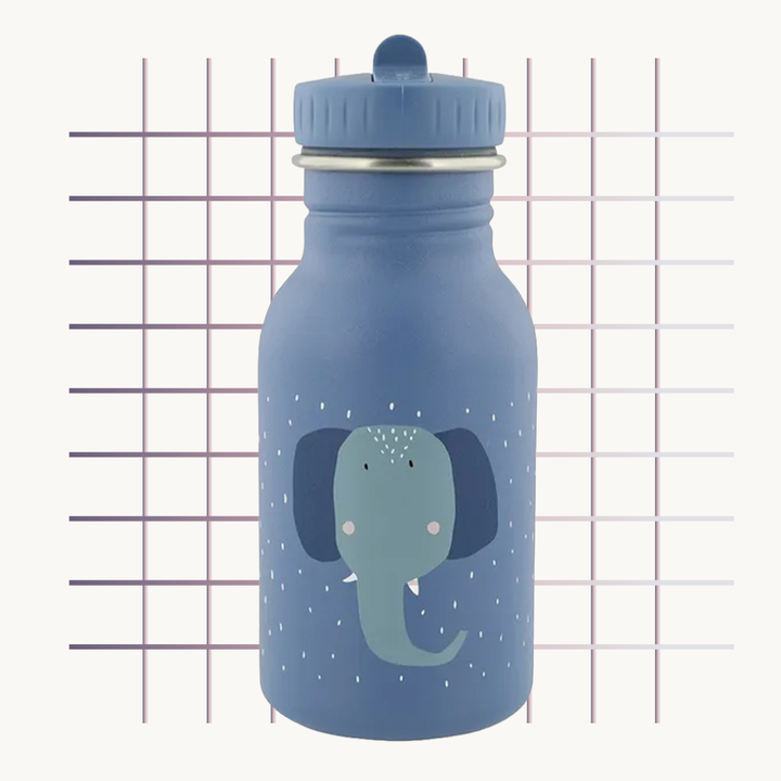 Trixie Insulated Water Bottle 350ml | زجاجة ماء معزولة تريكسي ٣٥٠ مل