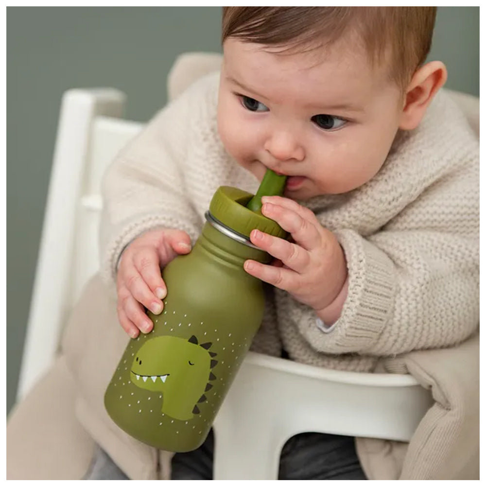 Trixie  Insulated Water Bottleزجاجة مياه معزولة تريكسي