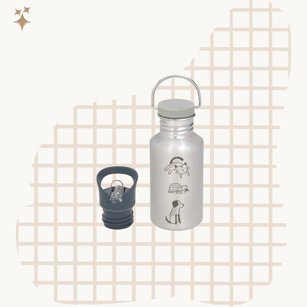 Lassig -Bottle Stainless Steel 500ml  لاسيج - زجاجة من الفولاذ المقاوم للصدأ