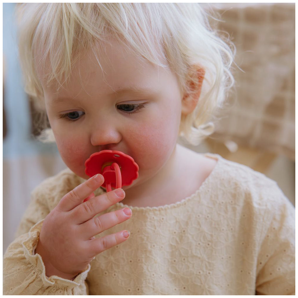 Frigg Daisy Round Latex Poppy  size 2 6-18 pack of 1