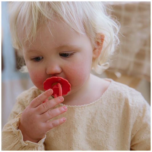 Frigg Daisy Round Latex Poppy  size 2 6-18 pack of 1