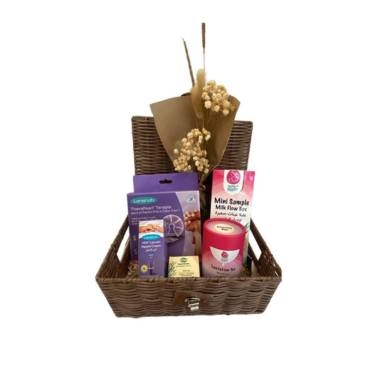 Sniggles Gift Breast Feeding Basket