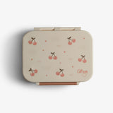 Citron 2022 Tritan Snackbox / نتائج البحث عن