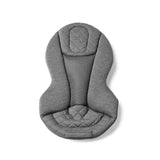 ErgoBaby Evolve Bouncer