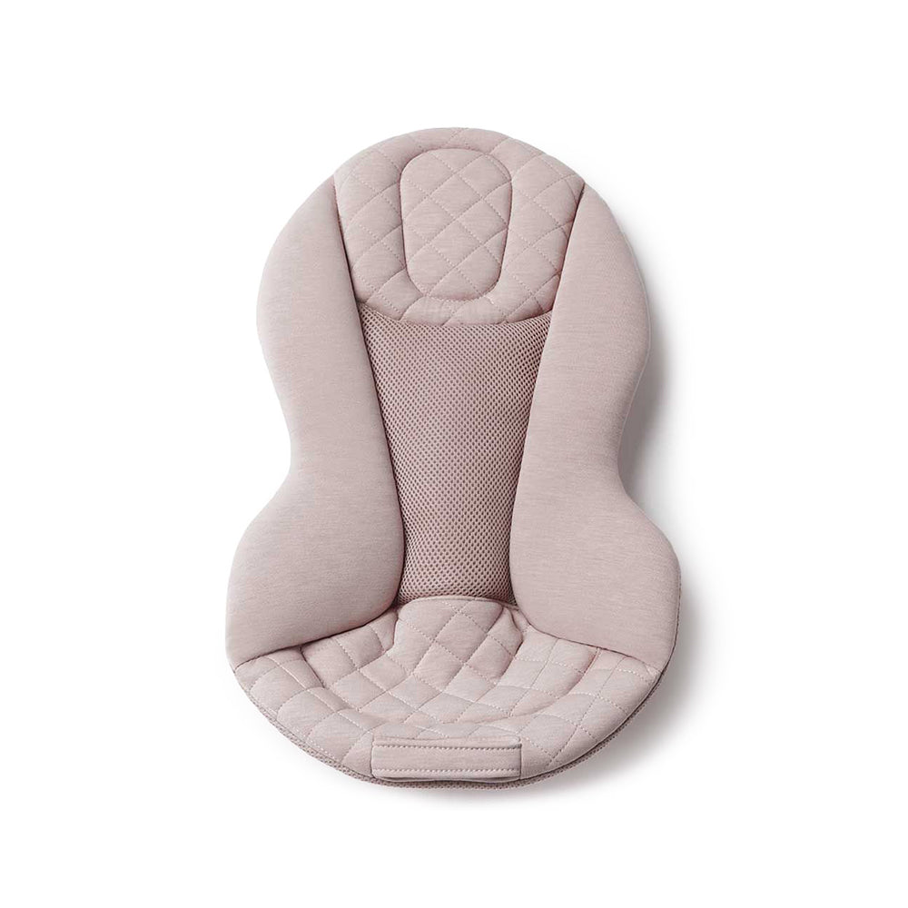 ErgoBaby Evolve Bouncer