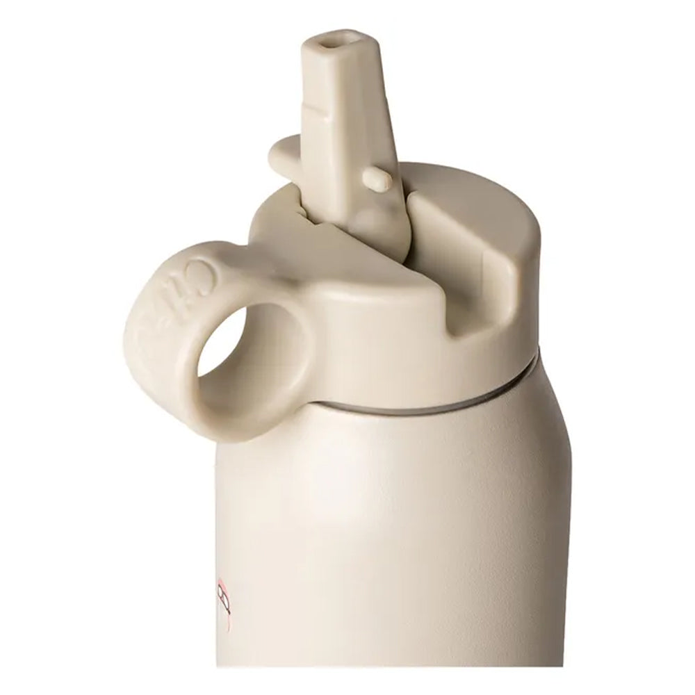 Citron Stainless Steel Water Bottle 350ml  (جديد) زجاجة مياه من الفولاذ المقاوم للصدأ سعة 350 مل