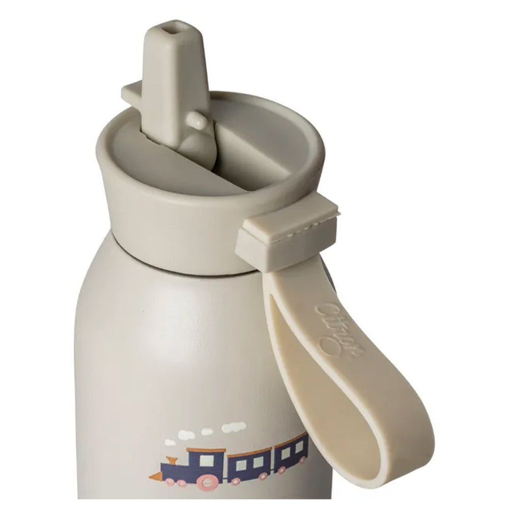 Citron SS Water Bottle 500ml  (جديد) زجاجة ماء سيترون SS سعة 500 مل