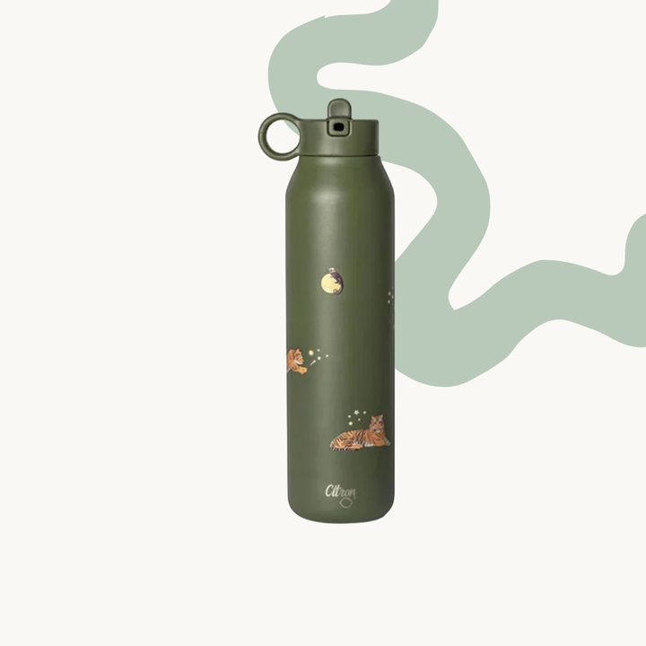 Citron Stainless Steel Water Bottle — 500ml