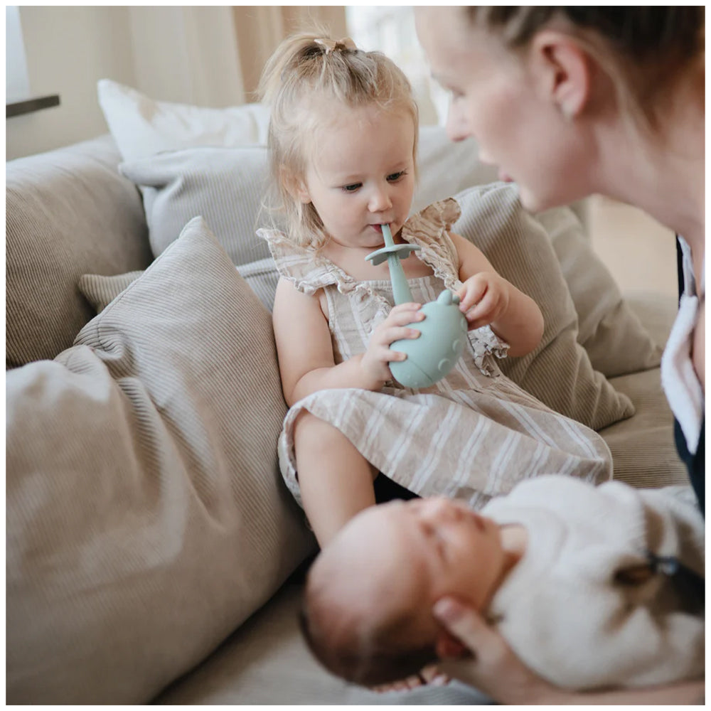 Mushie   Star Training ToothBrush  فرشاة أسنان موشي ستار للتدريب