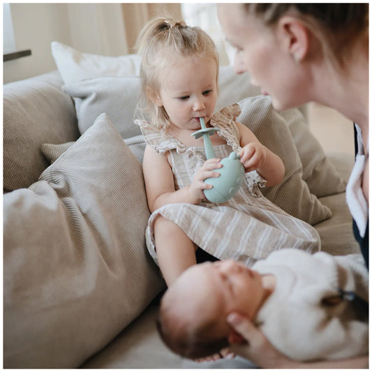 Mushie   Star Training ToothBrush  فرشاة أسنان موشي ستار للتدريب