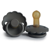 FRIGG Daisy Latex 6-18 size 2 pack of 1 / فريج ديزي لاتكس 6-18 مقاس 2، عبوة من 1 2