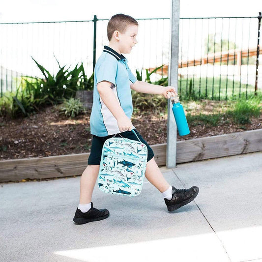 MontiiCo Insulated Lunch Bag /  حقيبة الغداء المعزولة من مونتيكو