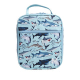 MontiiCo Insulated Lunch Bag /  حقيبة الغداء المعزولة من مونتيكو