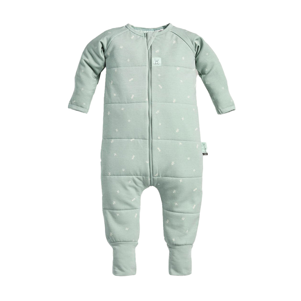 ErgoPouch Sleep Onesies TOG 2.5 / إرجو الحقيبةاسحب نيسيس TOG 2.5