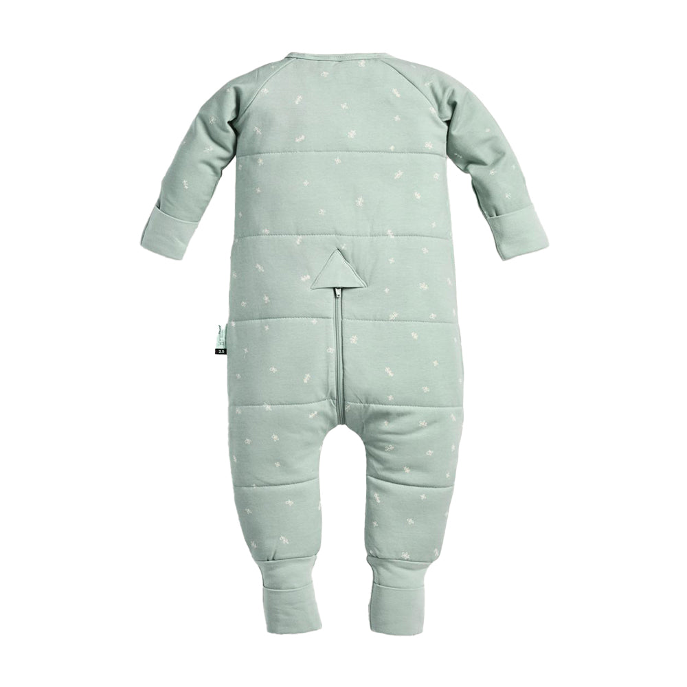ErgoPouch Sleep Onesies TOG 2.5 / إرجو الحقيبةاسحب نيسيس TOG 2.5
